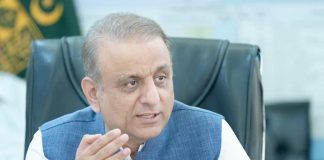 Indian unilateral actions cannot crush Kashmiris’ spirit of freedom: Aleem Khan