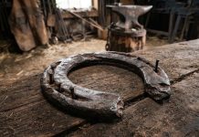 The Damaged Horse Shoe