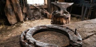 The Damaged Horse Shoe