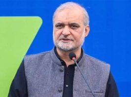 Petrol price could fall by Rs106 per litre if levy, some taxes removed: Hafiz Naeem