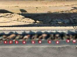Security Forces kill 33 Khwarij terrorists in Balochistan