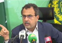 Leghari, Turkish envoy discuss power sector reforms, DISCOs privatisation