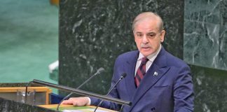 Pakistan to continue supporting Kashmiris’ inalienable right to self-determination: PM