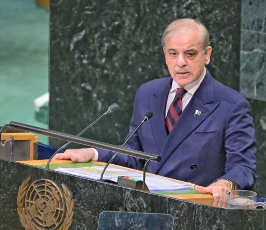 Pakistan to continue supporting Kashmiris’ inalienable right to self-determination: PM