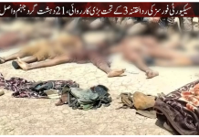 Security forces kill 21 terrorists across Balochistan; six sons of soil embrace martyrdom