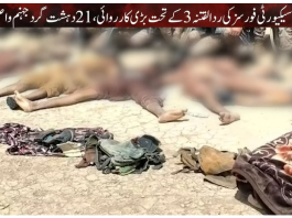 Security forces kill 21 terrorists across Balochistan; six sons of soil embrace martyrdom