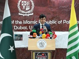 Pakistan urges world to help end rights abuses in occupied Kashmir: Ambassador Shafqat
