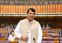 Black Day: Senate unanimously passes resolution expressing solidarity with Kashmiris