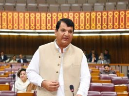 Black Day: Senate unanimously passes resolution expressing solidarity with Kashmiris