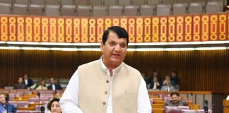 Black Day: Senate unanimously passes resolution expressing solidarity with Kashmiris