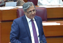 Azam Tarar calls for equal official passport rules for Senate, NA members
