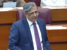 Azam Tarar calls for equal official passport rules for Senate, NA members