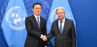 China’s VP Address at UNGA: A Four-Step Plan for Global Peace II