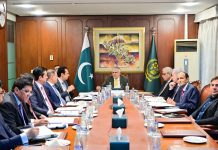 DPM Dar calls for action plan to improve service delivery of Pakistani Missions Abroad