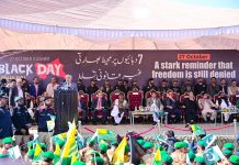DPM Dar reaffirms Pakistan’s unshakeable support for Kashmiris’ self-determination right