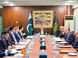 DPM Dar calls for action plan to improve service delivery of Pakistani Missions Abroad