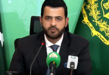 Political stability, public security top government priorities: Danyal Chaudhry
