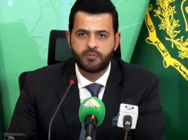 Political stability, public security top government priorities: Danyal Chaudhry