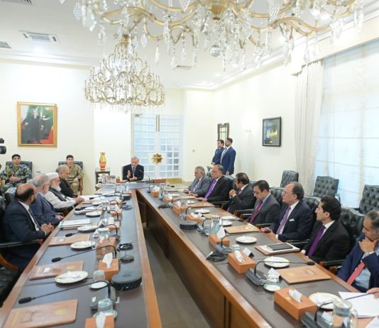PM, Jamaat-e-Islami delegation agree to form committee on petroleum relief, levy reduction