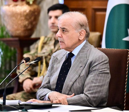 Lasting peace in S. Asia impossible without resolution of J&K issue: PM
