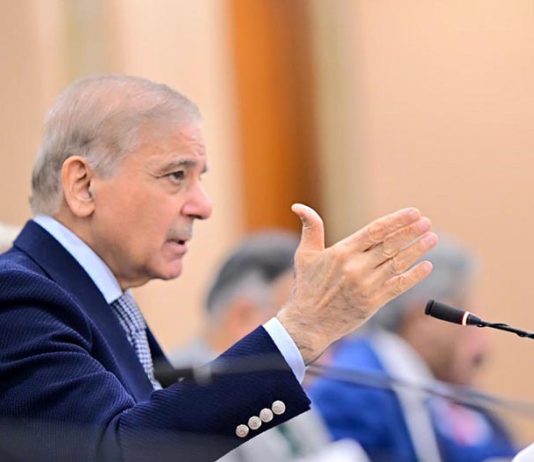 PM Shehbaz lauds security forces for eliminating six Indian-sponsored militants