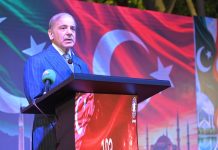 PM Shehbaz emphasises stronger Pakistan-Turkiye ties to match immense potential