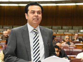 Noreen Niazi receiving necessary medical care on doctor advise: Senate told